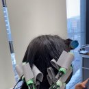 브로시스 이미지