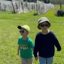 정양농장 이미지