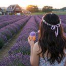 낙원농장4 이미지