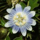 삼정래미안공인중개사사무소 이미지