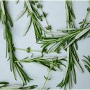 평화과일 이미지