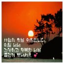 🪼🪼법정에 선 어머니 (안 보신분을 위하여)🪼🪼 이미지