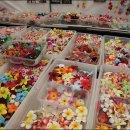 우쿨렐레 초급 이미지