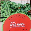 용인대타이곤태권도 | 위례태권도 용인대타이곤태권도 - 위례에서 10년동안 믿고 드리는 태권도 교육