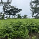 대곡해울림마을 이미지