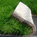 미네랄쌀 이미지