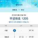 밀면쿨쿨