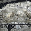 명동목욕탕 이미지