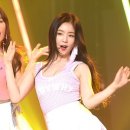 빨간맛 Daum카페