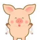 더바른몸 이미지