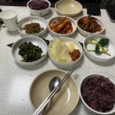 선애밥
