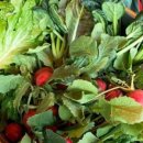 솔솔농장 이미지