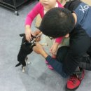 펫클럽 오산점 이미지