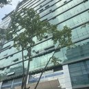 구디필라테스 시설 짱 좋은 유니필라테스 수업 후기