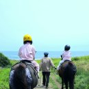 광치기해변 | [내돈내산] 제주도 말타기 광치기 해변 승마 솔직 후기!