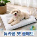 참조은펫 네이버블로그