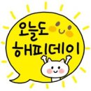 김동물병원 네이버블로그