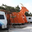 고래불쉼터 이미지