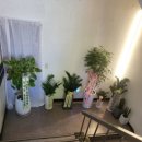 제이크짐 이미지