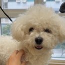 발렌티몽 이미지