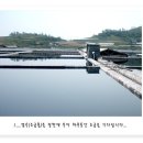 온소금