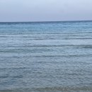 월정항아리갈치구제주해물통 | [제주도 제주시] 제주 모녀여행 2일차🤍 해산물 가득한 가성비 좋은 해물칼국수 맛집, 월정항아리 칼국수🍜