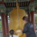 휴휴암 | 강원도 양양 휴휴암 후기 바다 절경 + 물고기 먹이주기 체험
