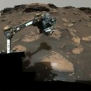 화성반점 이미지