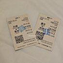 심현보의 작은배낭 2탄 | [대만/가오슝] 대만 타이난 자유여행(상견니투어,가오슝에서 타이난 가는법,혼자여행) Day2