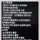 김홍식 동문(5기) 서울 광진구 갑 선거구 새누리당 국회의원 예비후보 출마 이미지