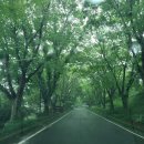 경상남도 산림환경연구원 [반려식물병원] 이용후기