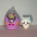 못된강아지 | 이번 연휴의 결과는 ...더보기 + 성심당 빵 후기