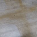 토현초등학교 이미지