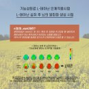 PTSD 외상후 스트레스 및 스트레스 해소법 이미지