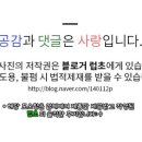 김치찜 토박이 네이버블로그