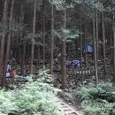 편백숲관광안내소 이미지