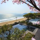 파라다이스호텔 이미지