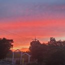 유동목장 | 남해아이랑가볼만한곳은 남해상상양떼목장편백숲