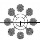 라디오닉스 이미지