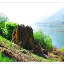 자연의 미학 이미지