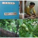 뽕이랑 귀농이랑 네이버블로그