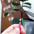 양우종한의원 네이버블로그