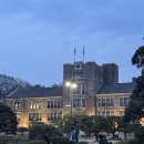 (주)하나알씨 | (2026.03.30.~04.05.) 개화를 만끽하는 일상