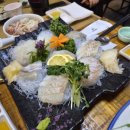 꽃참치 | 충주 연수동 참치회 맛집 꽃스시 가족외식 후기, 예약하고 방문한 참치회와 광어회 맛집