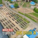 인양양초장 이미지