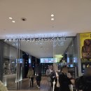 도배나라장식 | 오사카 야경 "진짜 여긴 꼭 가세요" 하루카스 300 가는 방법 및 솔직후기