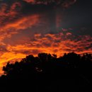 국립공원 산불대응 혁신방안 종합대책 발표-숲 가꾸기도 기후위기에 적응하는 전략전환이 이미지