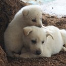 나무농장 이미지