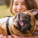 최강영어 이미지