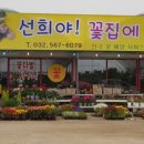 선희꽃집